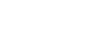 logo Velvet Boudoir